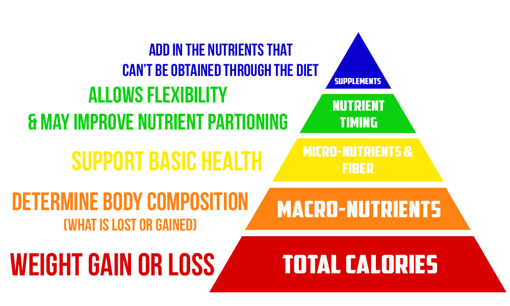 The Nutritional Pyramid Rumer Morley PT